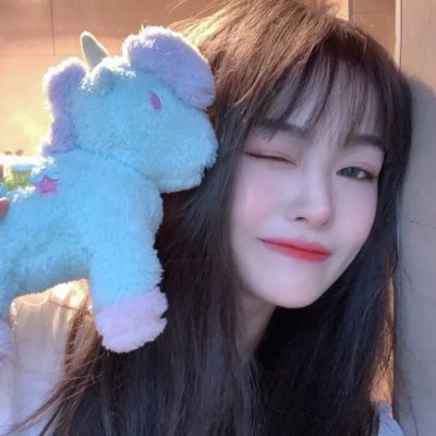 少女情怀尽是诗